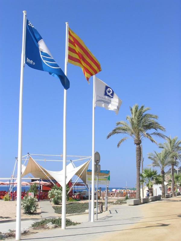 Appartamento Encantador Estudio Calella Esterno foto